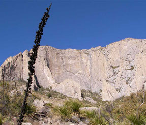 Photo of West Texas landscape